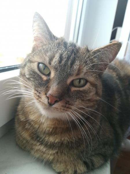 Kira