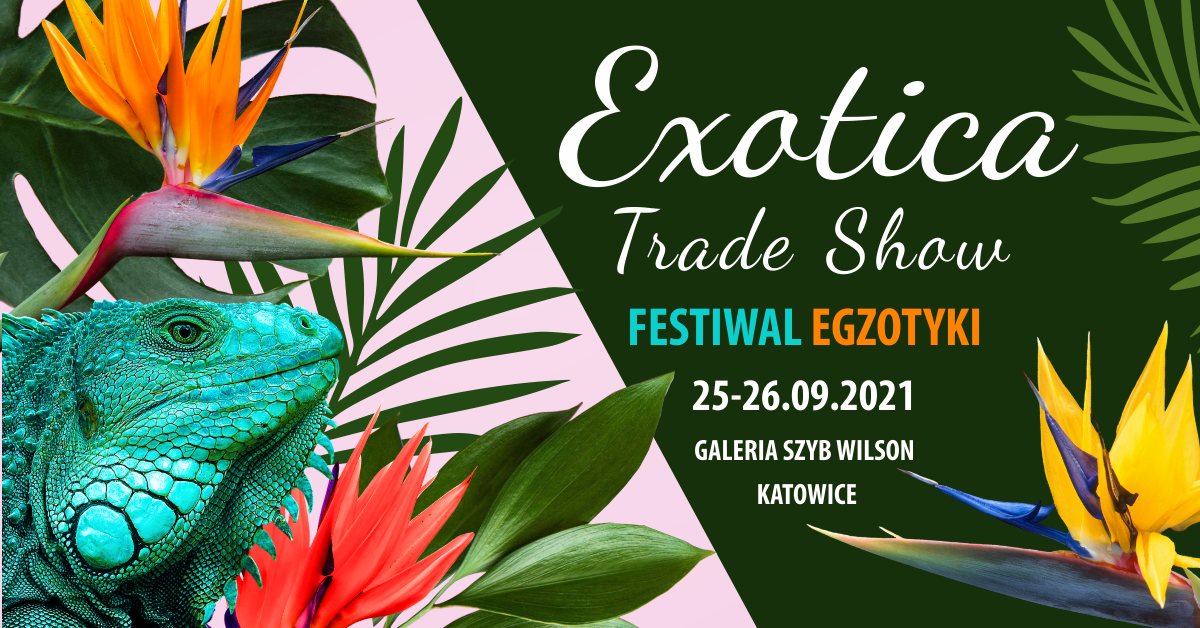 Exotic show