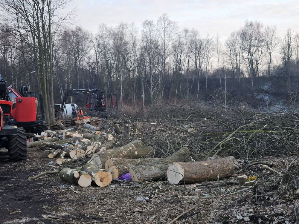 Masakra zieleni w dzielnicy Ruda. Trwa masowa wycinka drzew pod trasę N-S - fotoreportaż