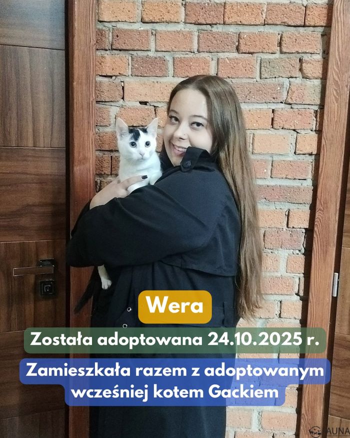 Kolejne czworonogi z "Fauny" znalazły nowe domy! - fotoreportaż