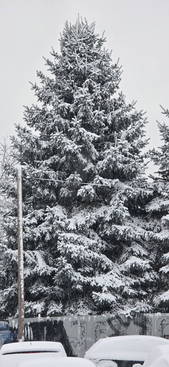Śnieg w Rudzie Śląskiej. Zobaczcie zdjęcia naszych Czytelników! - fotoreportaż