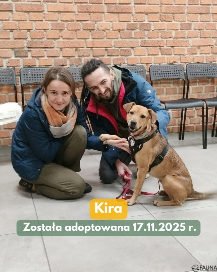 Kolejne czworonogi z „Fauny” w nowych domach! - fotoreportaż