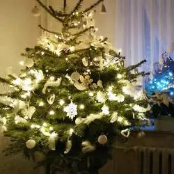 Czar świątecznego drzewka