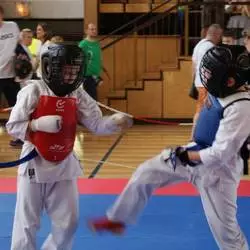 IV Puchar Śląska Dzieci i Młodzieży Karate Kyokushin
