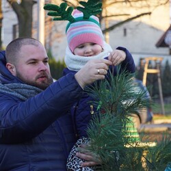 Strojenie choinki na plantach