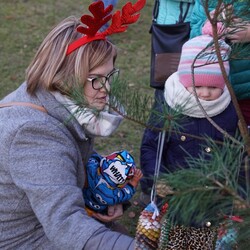 Strojenie choinki na plantach