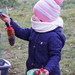 Strojenie choinki na plantach