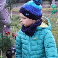 Strojenie choinki na plantach