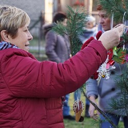 Strojenie choinki na plantach