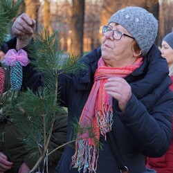 Strojenie choinki na plantach