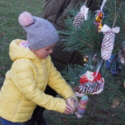 Strojenie choinki na plantach