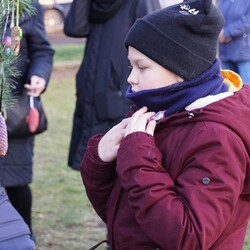 Strojenie choinki na plantach