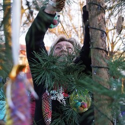 Strojenie choinki na plantach