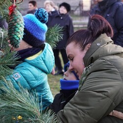 Strojenie choinki na plantach