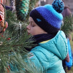 Strojenie choinki na plantach