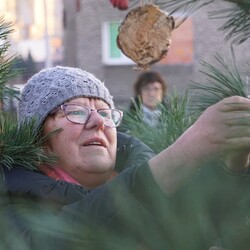 Strojenie choinki na plantach