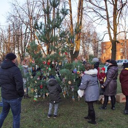 Strojenie choinki na plantach