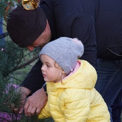 Strojenie choinki na plantach