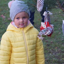 Strojenie choinki na plantach