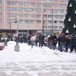 Polonez na rynku