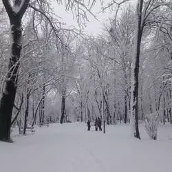 Ruda Śląska w zimowej odsłonie