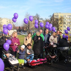 Światowy Dzień Wcześniaka