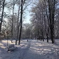 Zimowa Ruda Śląska