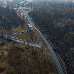 Wycinka na Chebziu