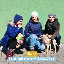 Fauna adopcje