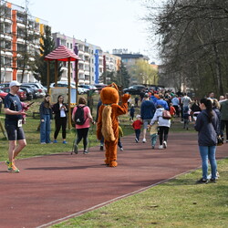 Jubileuszowy "Bieg Wiewiórki"