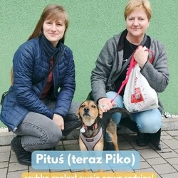 Adopcje w Faunie
