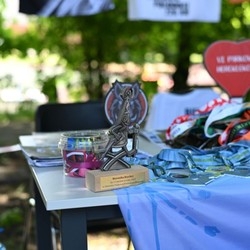 Festyn Rodzin i Rodzin Zastępczych