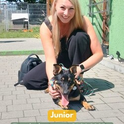 Adopcje Fauna