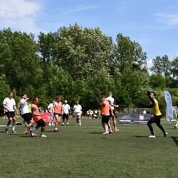 Dzikie Knury Cup