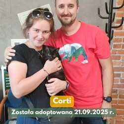Adopcje TOZ Fauna