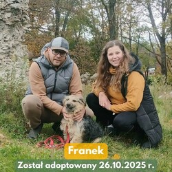 Adopcje w TOZ Fauna