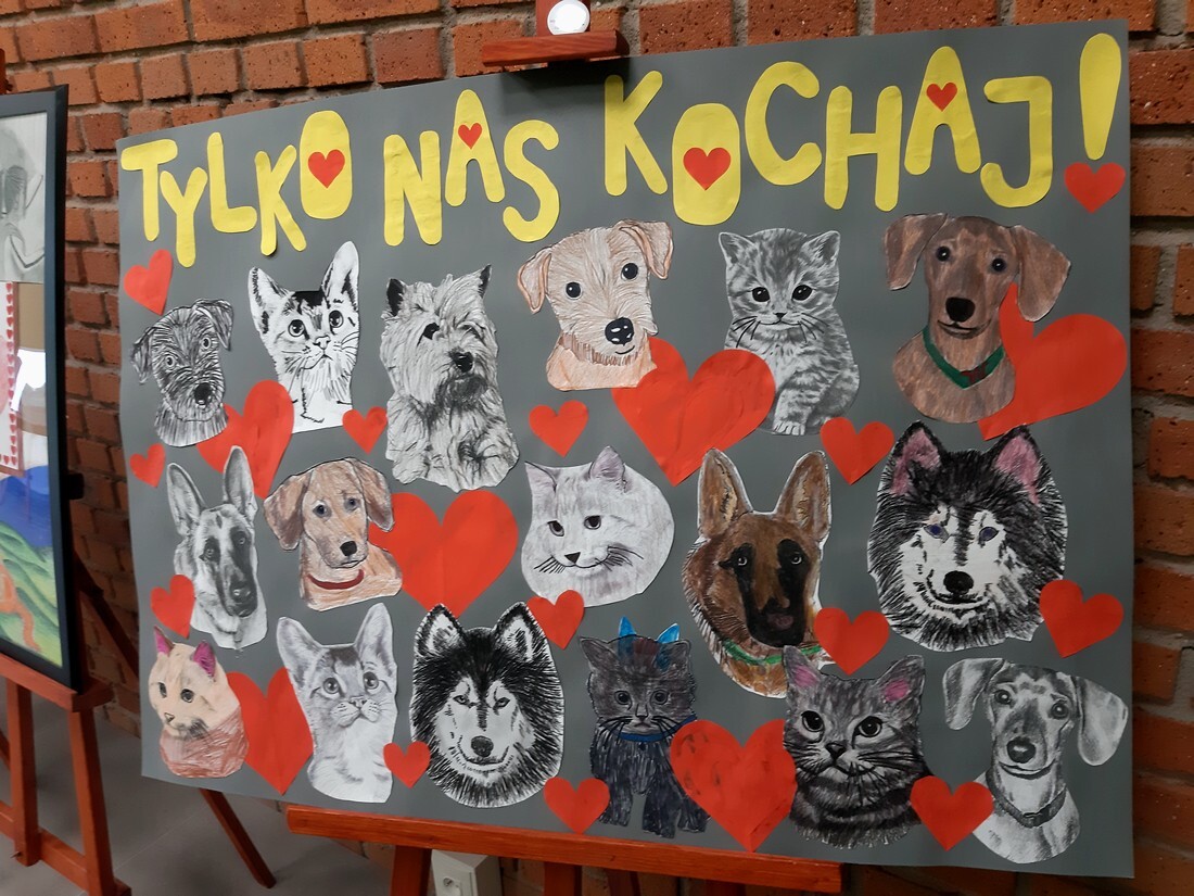 Towarzystwo Opieki nad Zwierzętami "FAUNA" obchodzi 25-lecie istnienia. Podczas oficjalnej uroczystości celebrującej ten jubileusz TOZ otrzymało do użytkowania budynek przeznaczony na cele statutowe, wręczono również nagrody laureatom konkursu "Jestem przyjacielem zwierząt...".