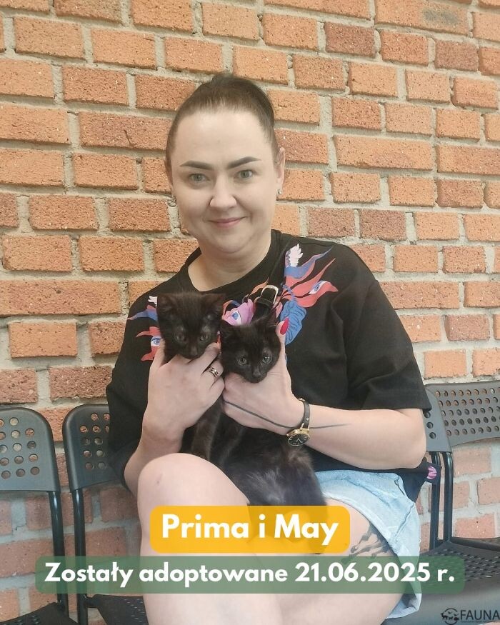 Wyjątkowa adopcja w Faunie – sprawdźcie podsumowanie tygodnia!/fot. TOZ Fauna