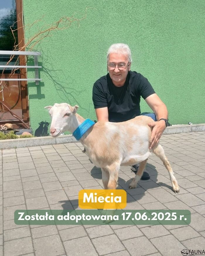 Wyjątkowa adopcja w Faunie – sprawdźcie podsumowanie tygodnia!/fot. TOZ Fauna