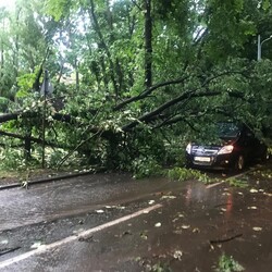 [AKTUALIZACJA] Powa&#380;ne skutki burzy w Rudzie &#346;l&#261;skiej: Zawalenie &#347;ciany, powalone drzewa