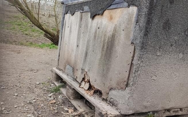Uruchomiono zbiórkę na modernizację schroniskowych boksów/fot. TOZ Fauna
