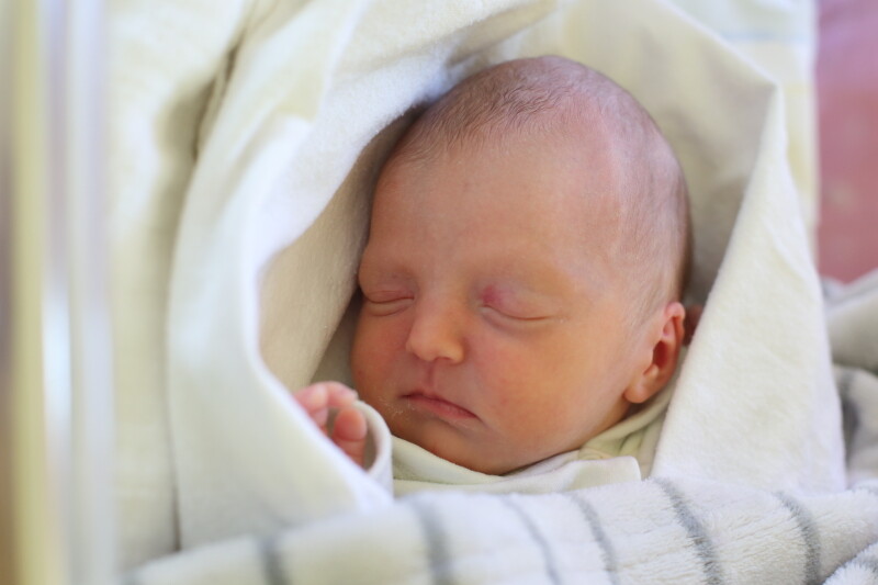 Emilia Kans