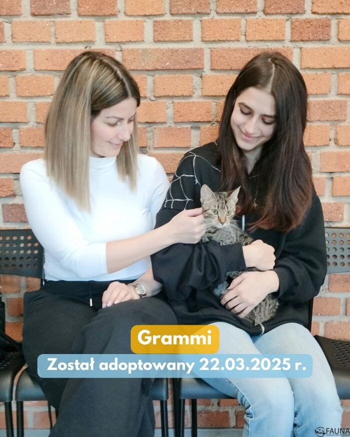 Kolejne adopcje w TOZ Fauna!/fot. TOZ Fauna