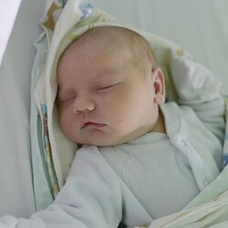 Liliana Olga Hołda