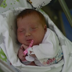 Maja Antonina Dawid