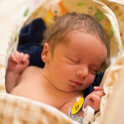 Mikołaj Wiśniewski