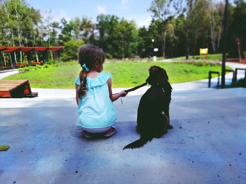 Anastazja oraz Doli
dzielnica: Nowy Bytom