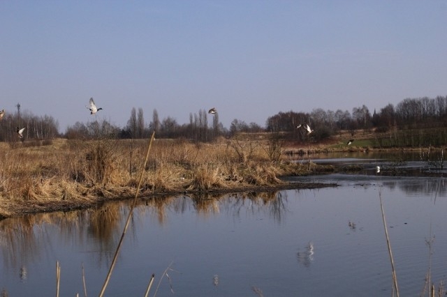 Pierwszy dzień wiosny - Bykowina nieb. dachy...