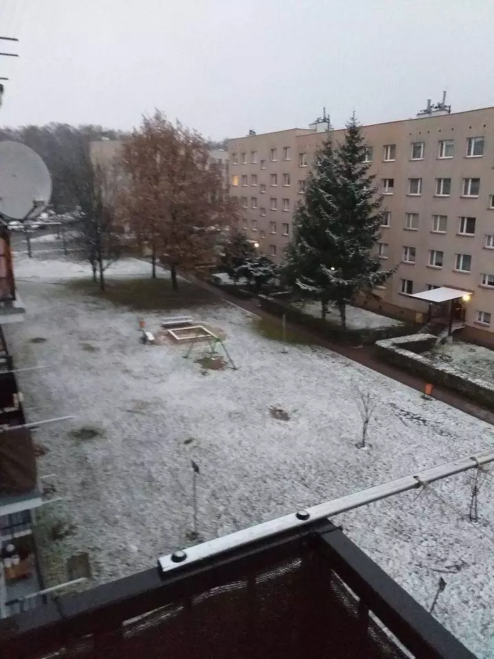 W nocy z soboty na niedzielę w Polsce spadł pierwszy śnieg. Opady wystąpiły na południu i wschodzie kraju. W nocy spadło kilka centymetrów białego puchu.