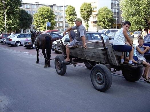 Kartofle, kartofle... Woźnica Rysiek i dzieci z Kosynierów
dzielnica: Halemba 2
